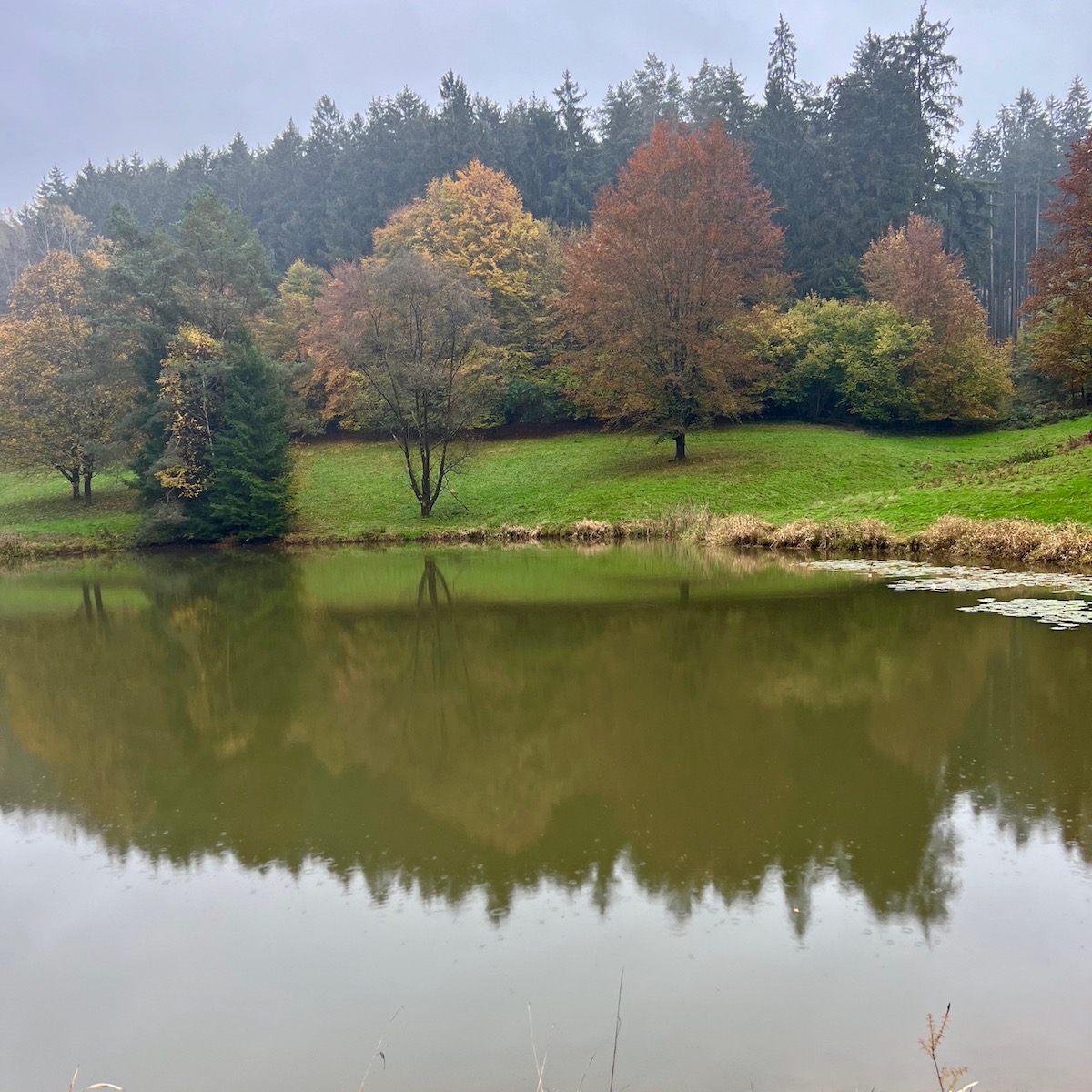 20_heimbuchenthal_waldsee