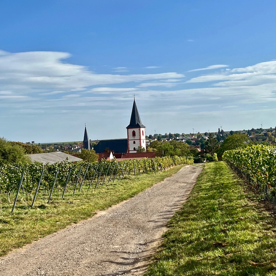 20_westhofen_wingertsheisjer wanderweg