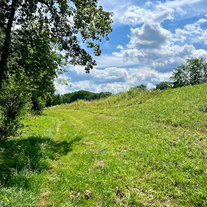 21_donauwald_wanderweg