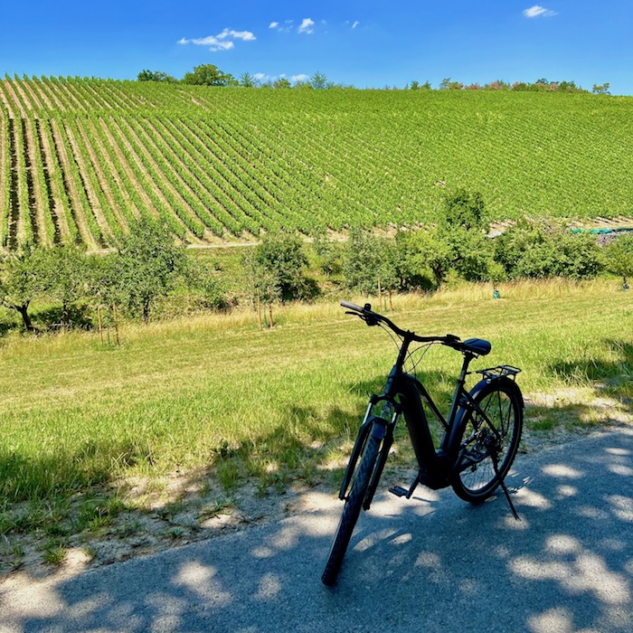 21_e_bike_tour_retzstadt_weinberge