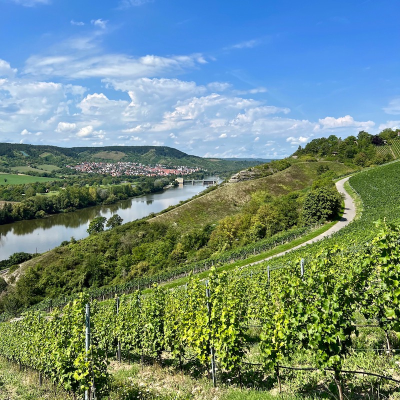 21_zweiuferland_veitshhöchheim_weinberge