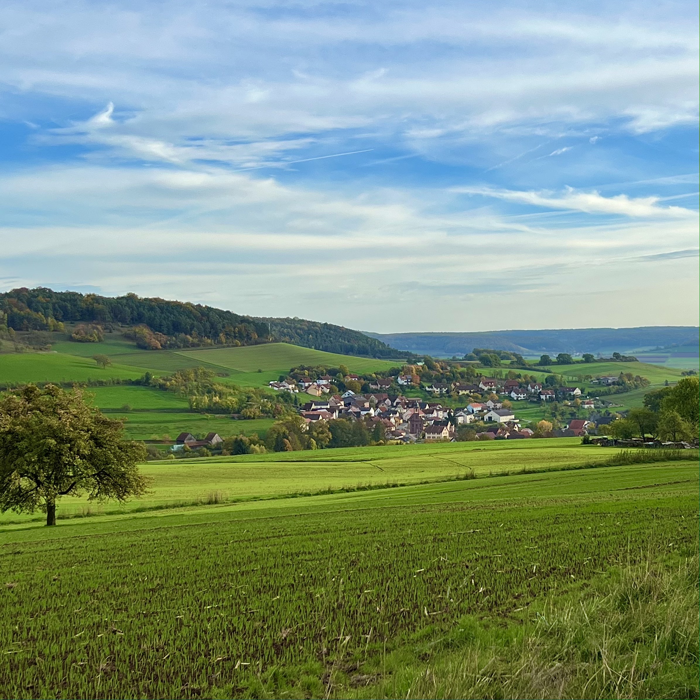 Wartmannsroth