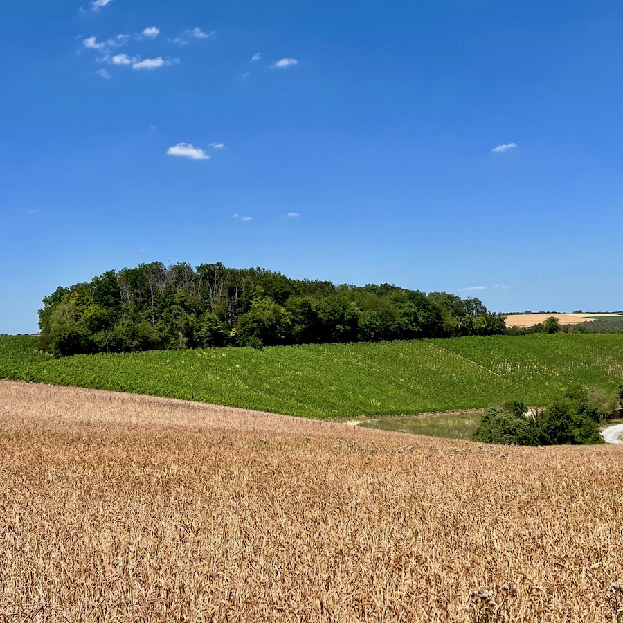 22_e_bike_tour_retzstadt_breitfeldhöhe