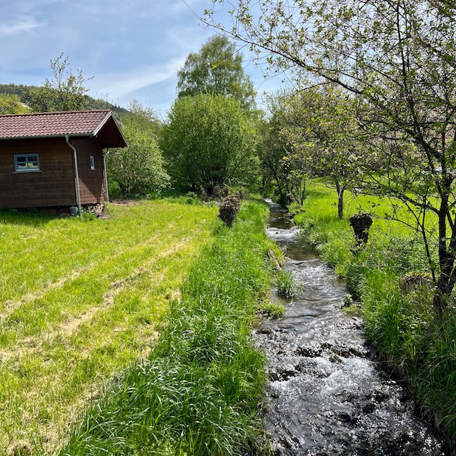 22_frankens saalestück_sulzthal