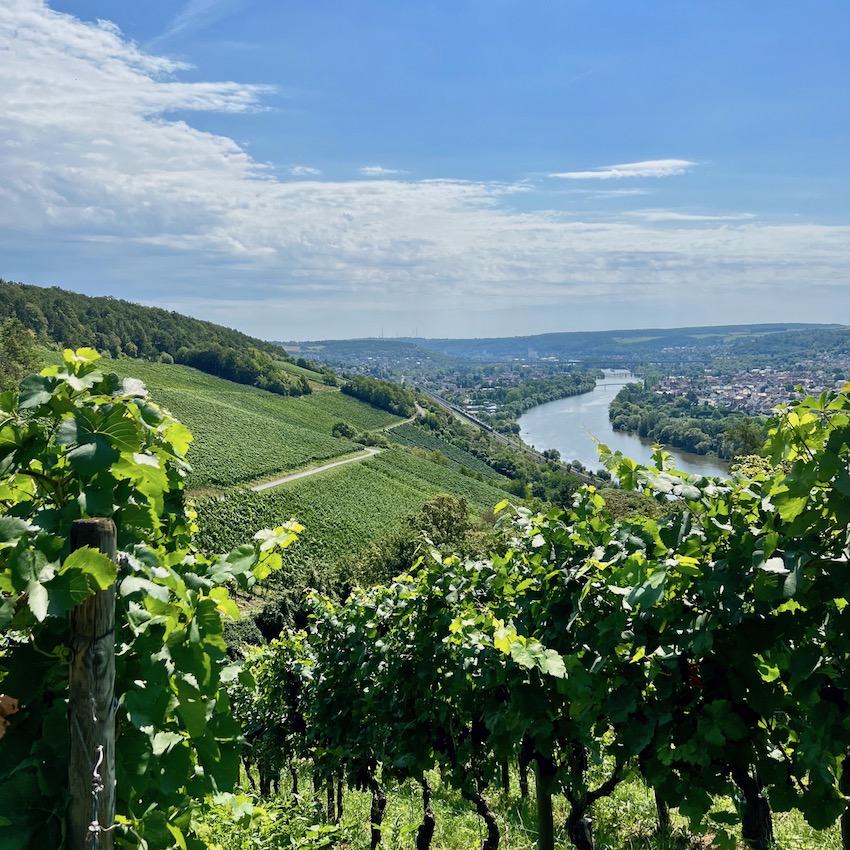 22_zweiuferland_veitshhöchheim_weinberger