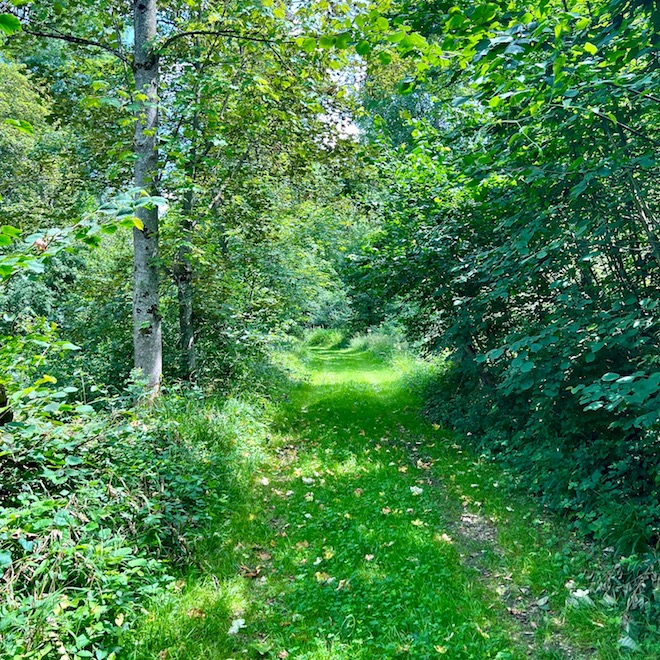 23_donauwald_wanderweg