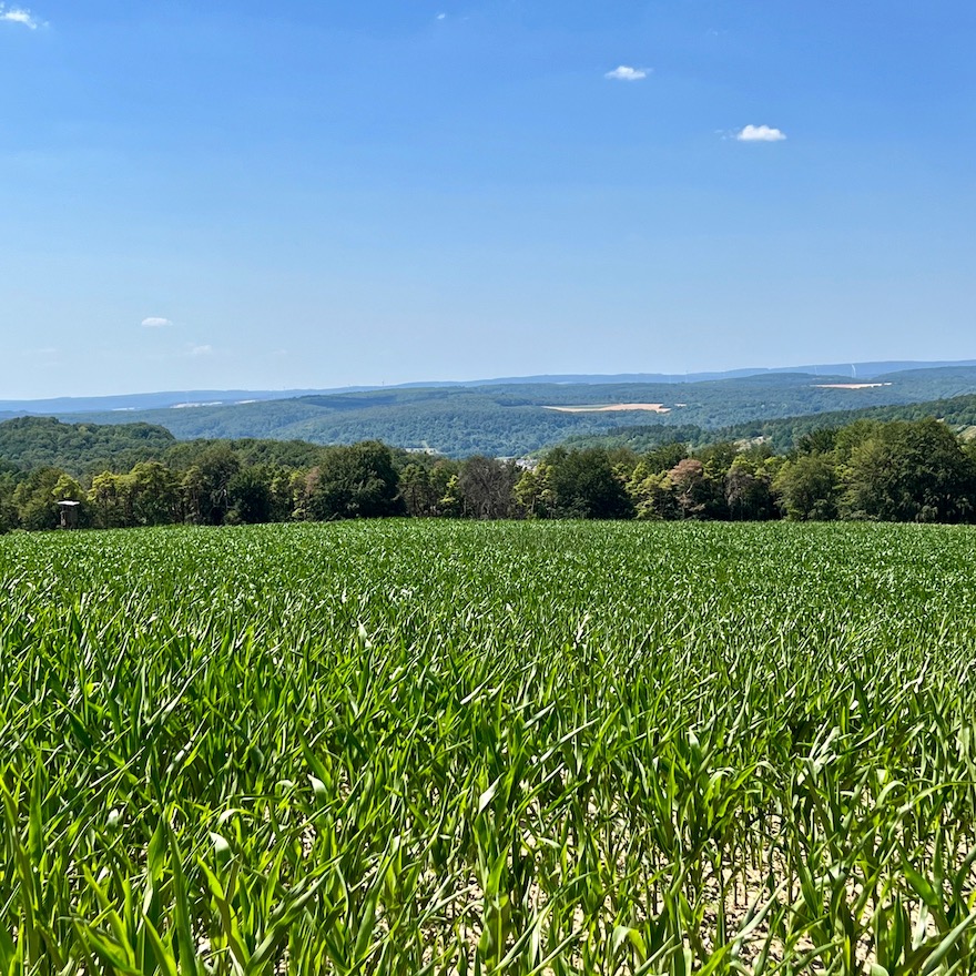 23_e_bike_tour_thüngersheim_breitfeldhöhe