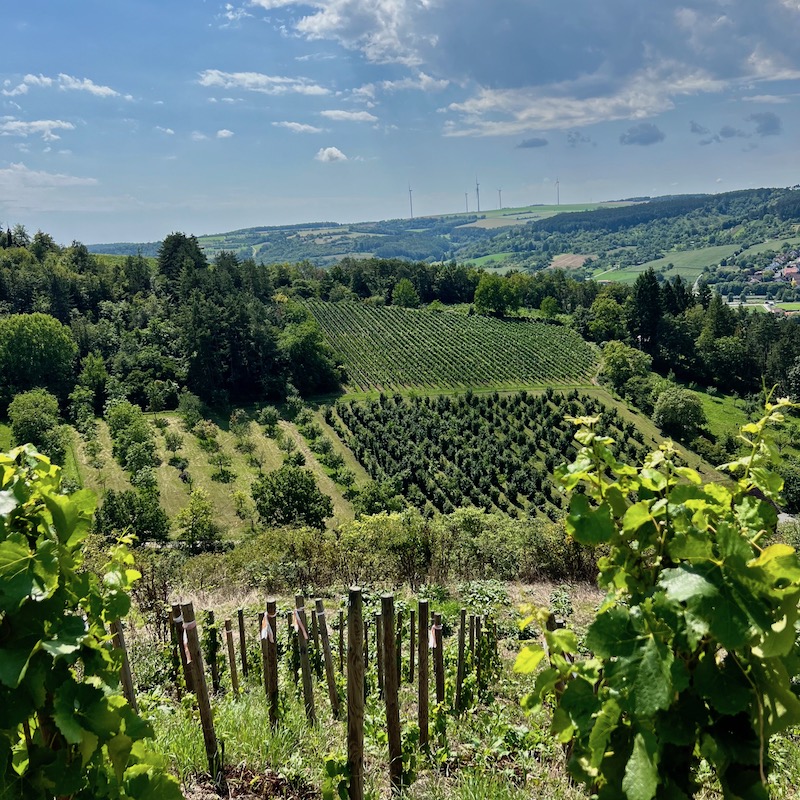 24_zweiuferland_terroir f