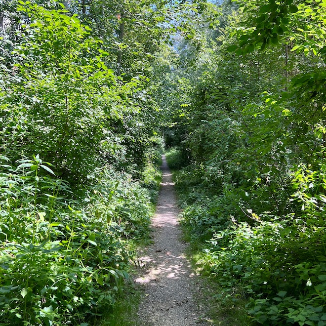 25_donauwald_wanderweg