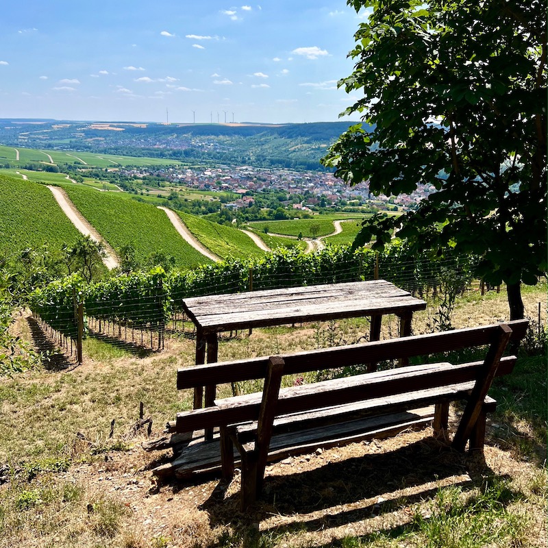 25_e_bike_tour_thüngersheim_weinberge