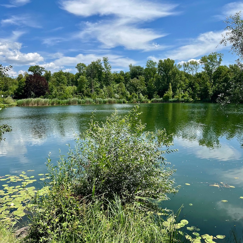 26_donauwald_wanderweg
