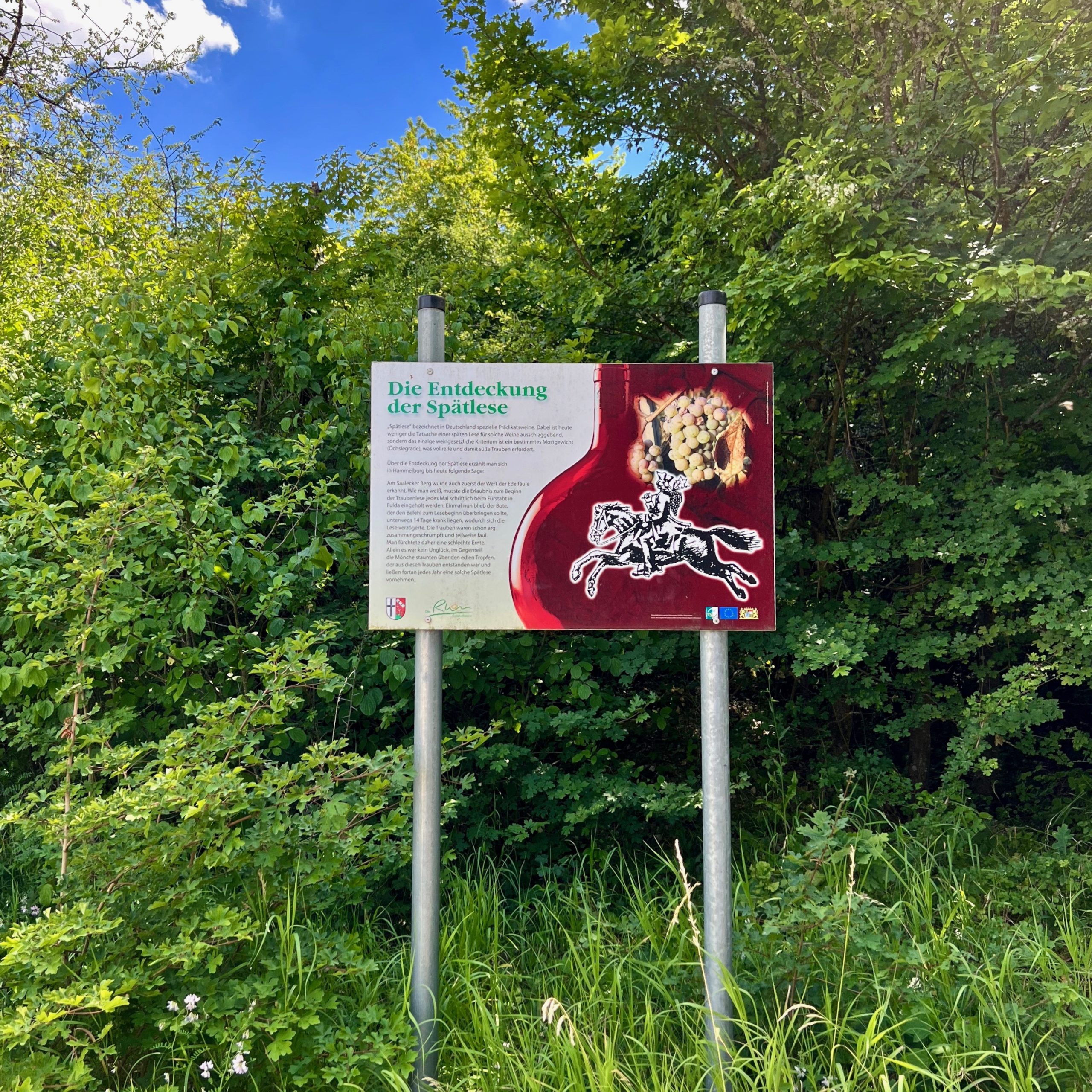 weinlehrpfad