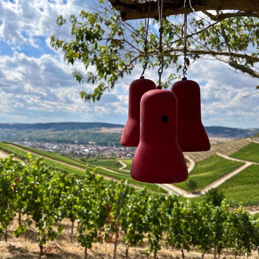 2_Weinberge