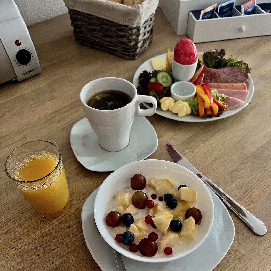 2_dillingen_schwabennest