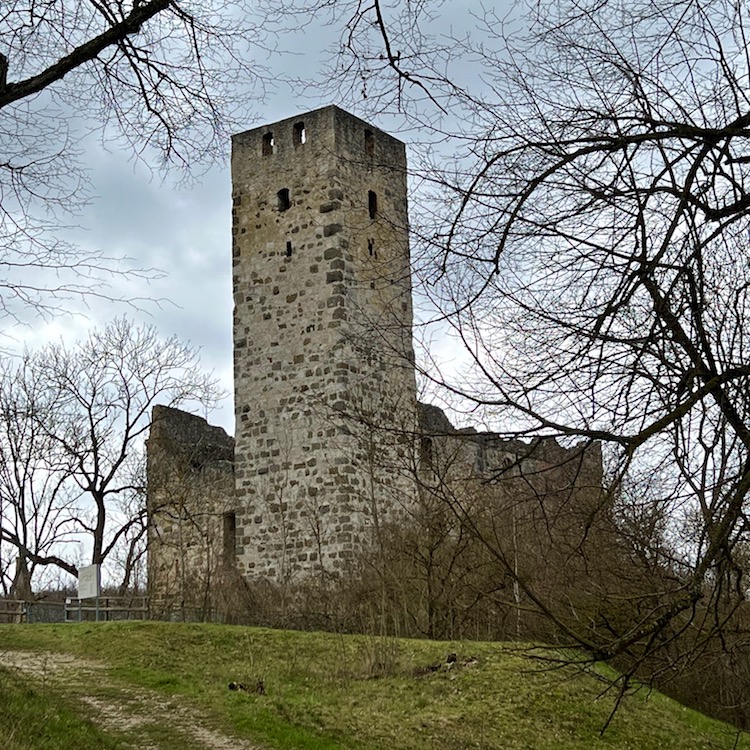 2_donau_ries_burgruine niederhaus