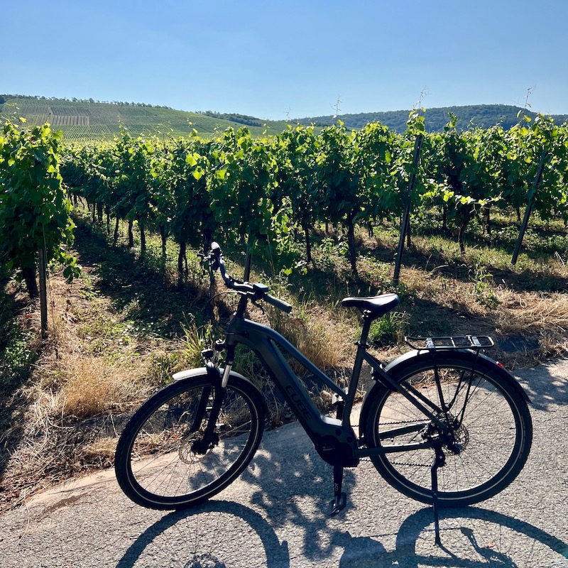 2_e_bike_tour_weinberge