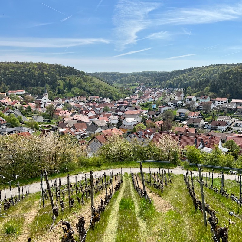 2_frankens saalestück_ramsthal