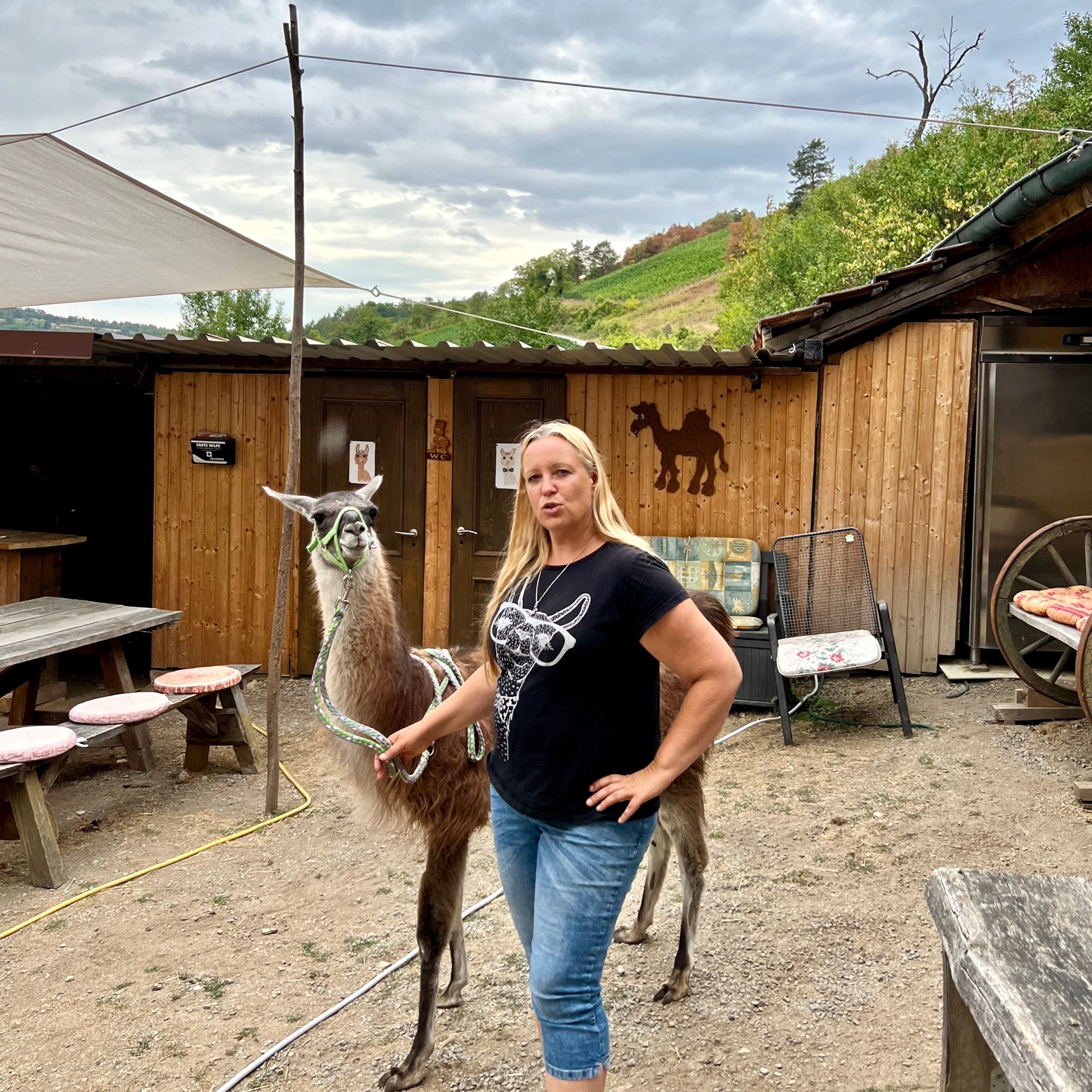 retztal_lamas