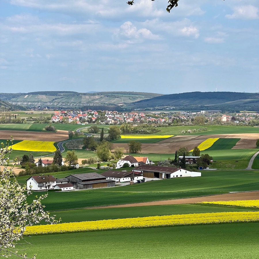 2_zellingen_felder_frühling
