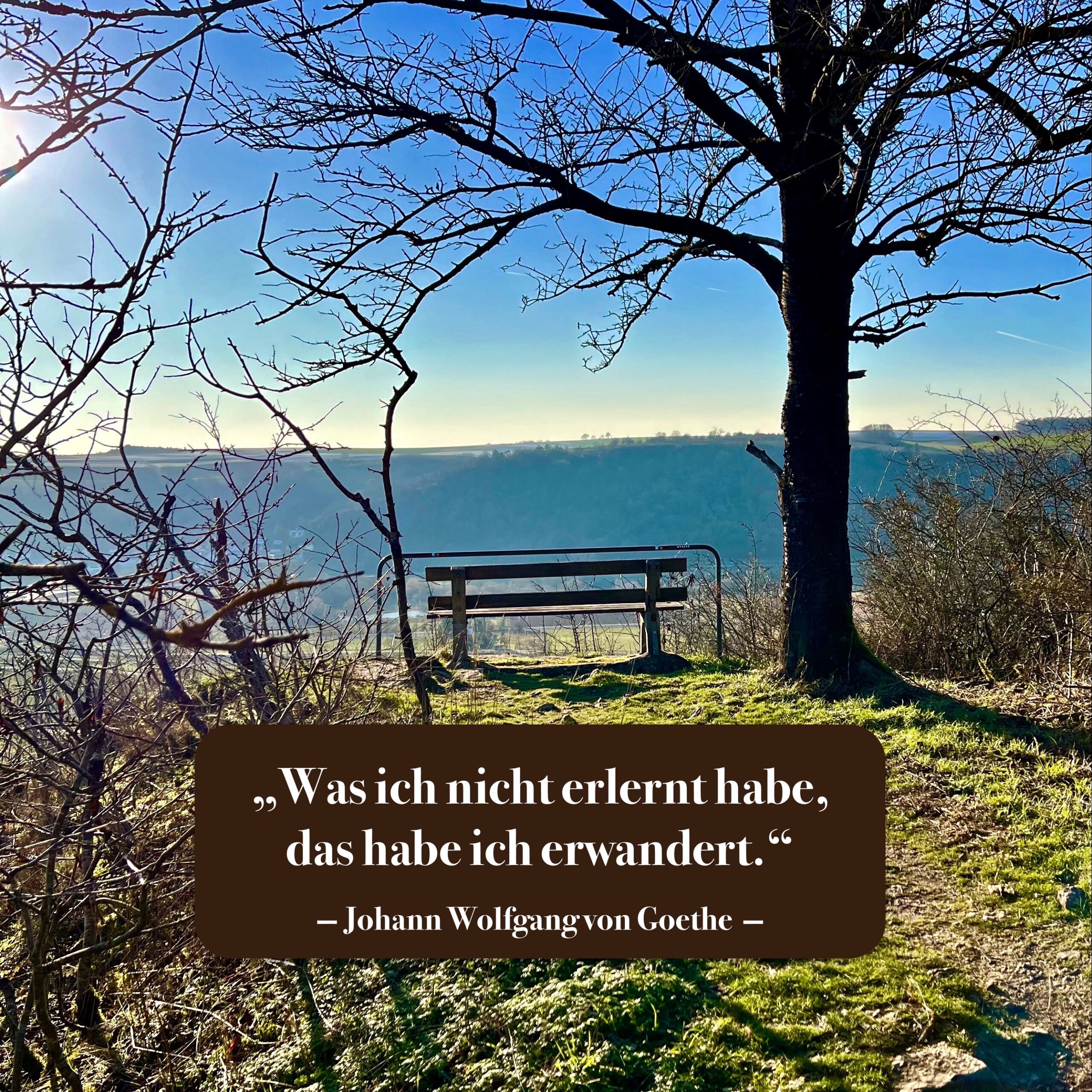 2_zitate_und_sprüche_wandern
