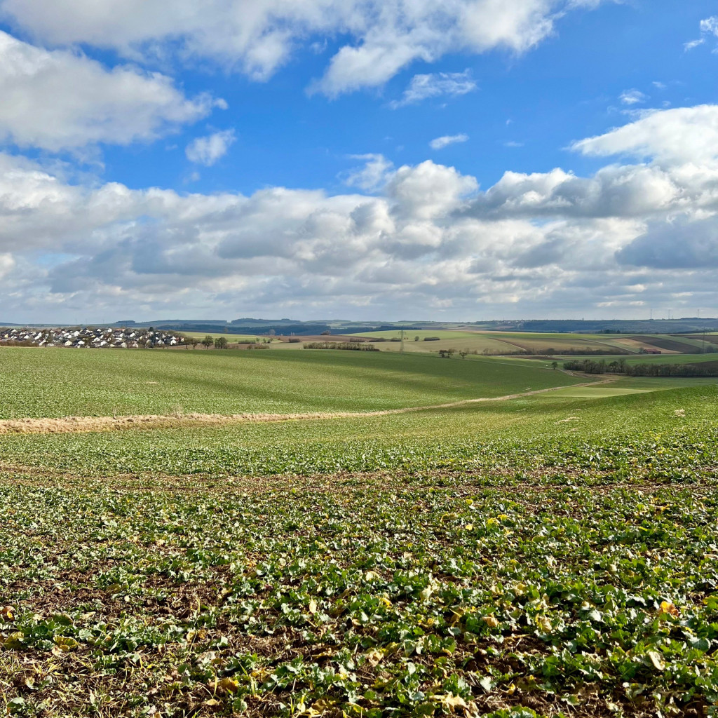 bauernregeln_februar