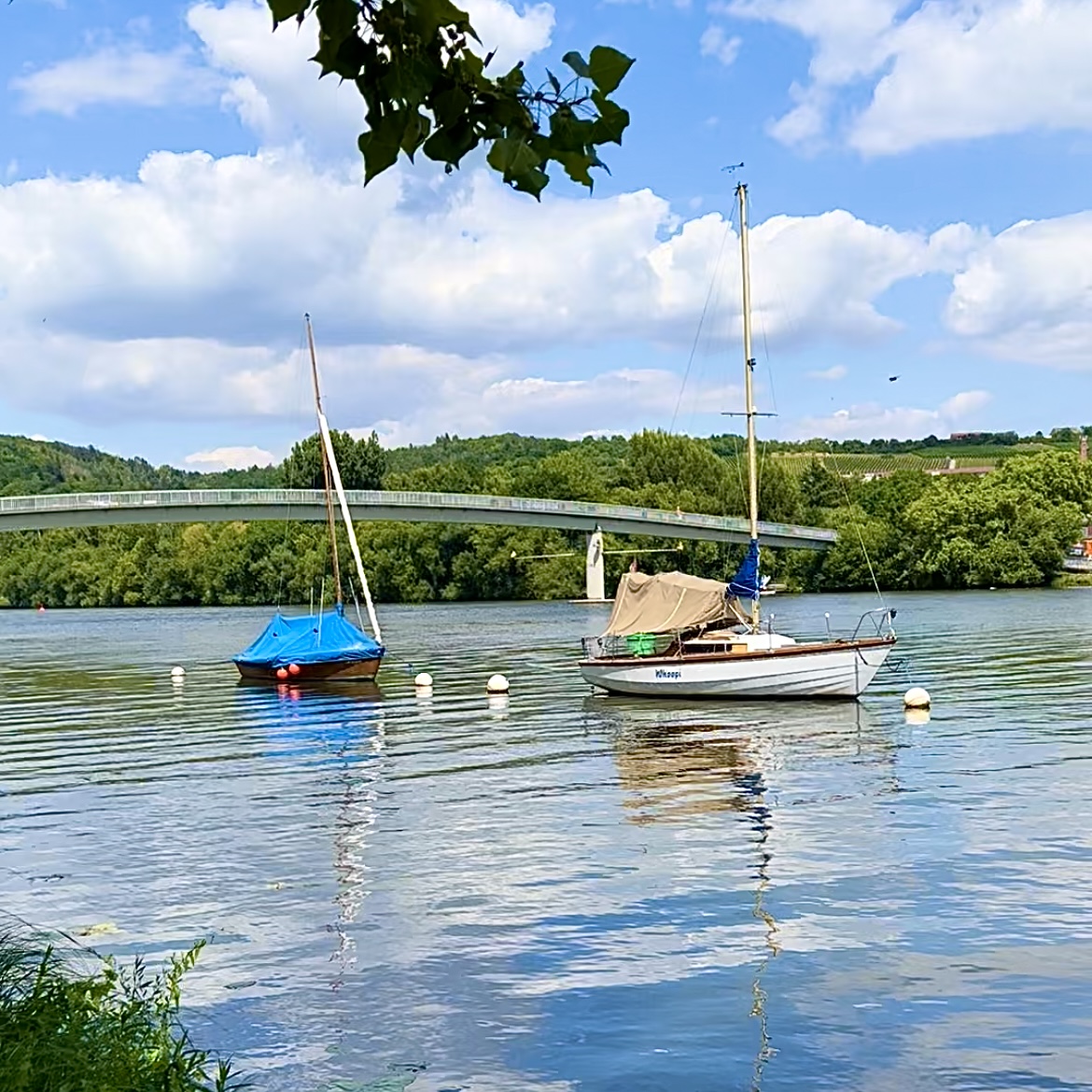 boote_auf_dem_main