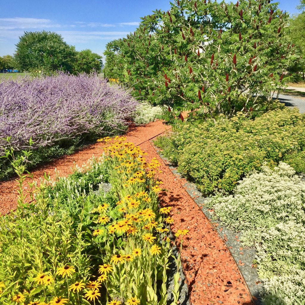 Landesgartenschau