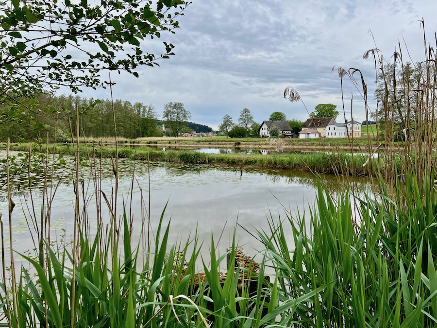 streifzüge_weiherpfade