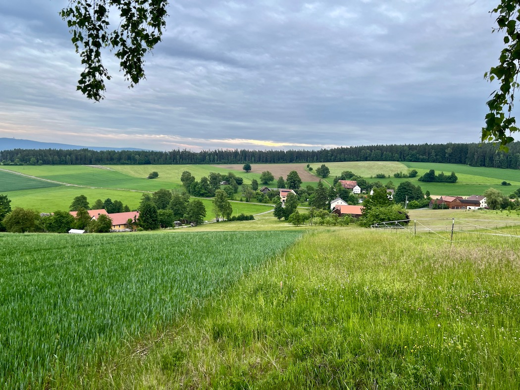 31_bad neualbenreuth
