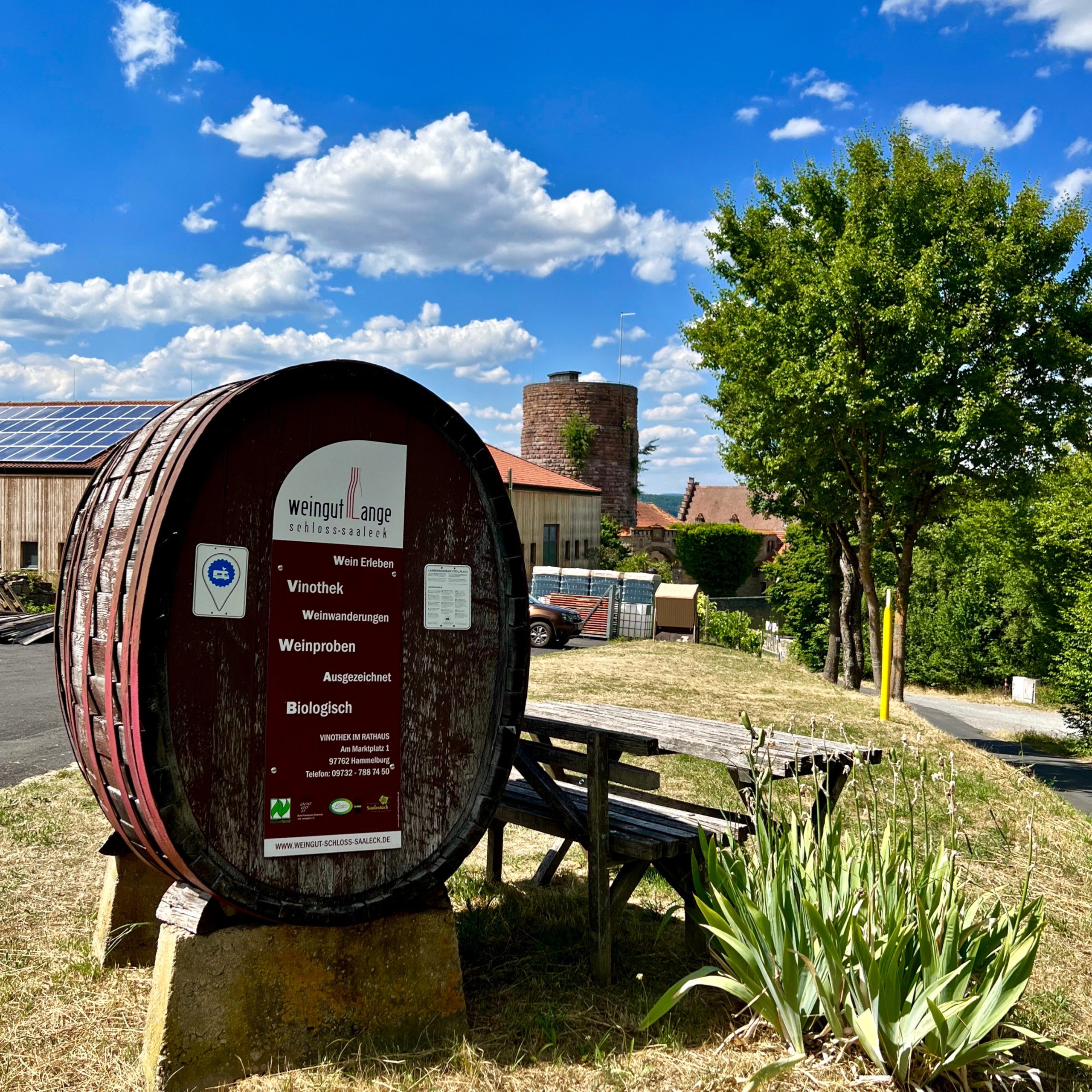 weingut_lange_hammelburg