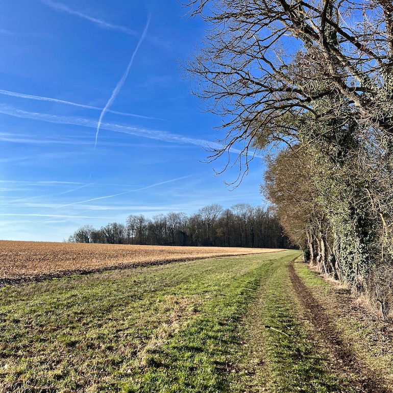 3_Wanderweg_Aub