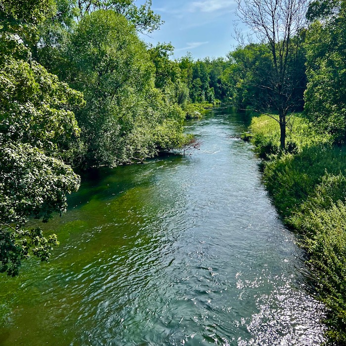3_donauwald_brenz