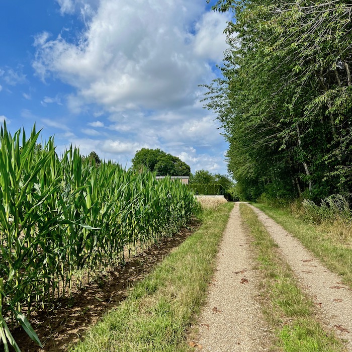 3_donauwald_wanderweg