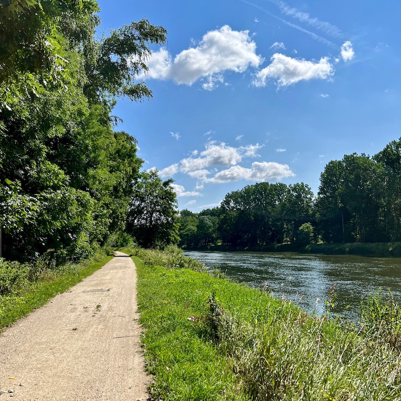3_donauwald_wanderweg_donau
