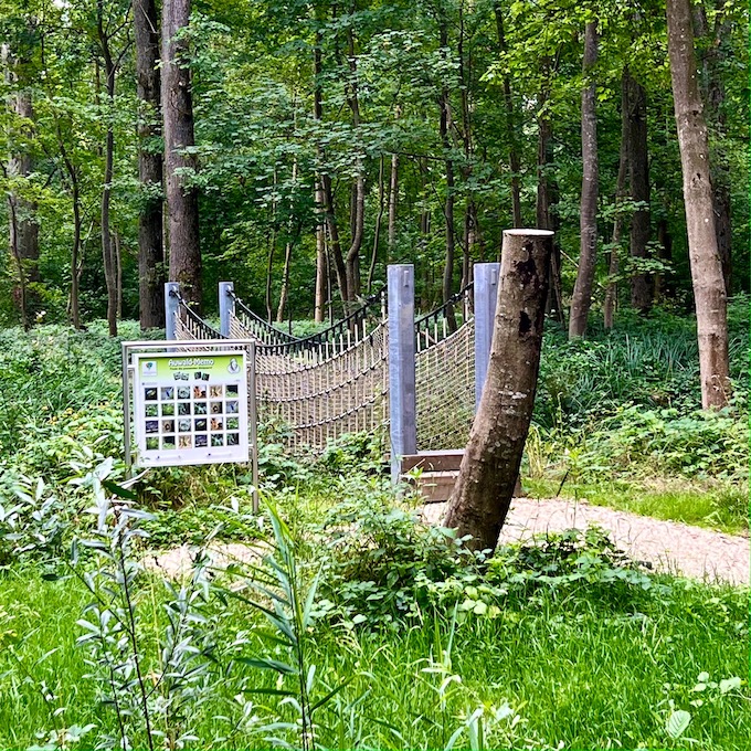 3_donauwald_wanderweg_höchstädt