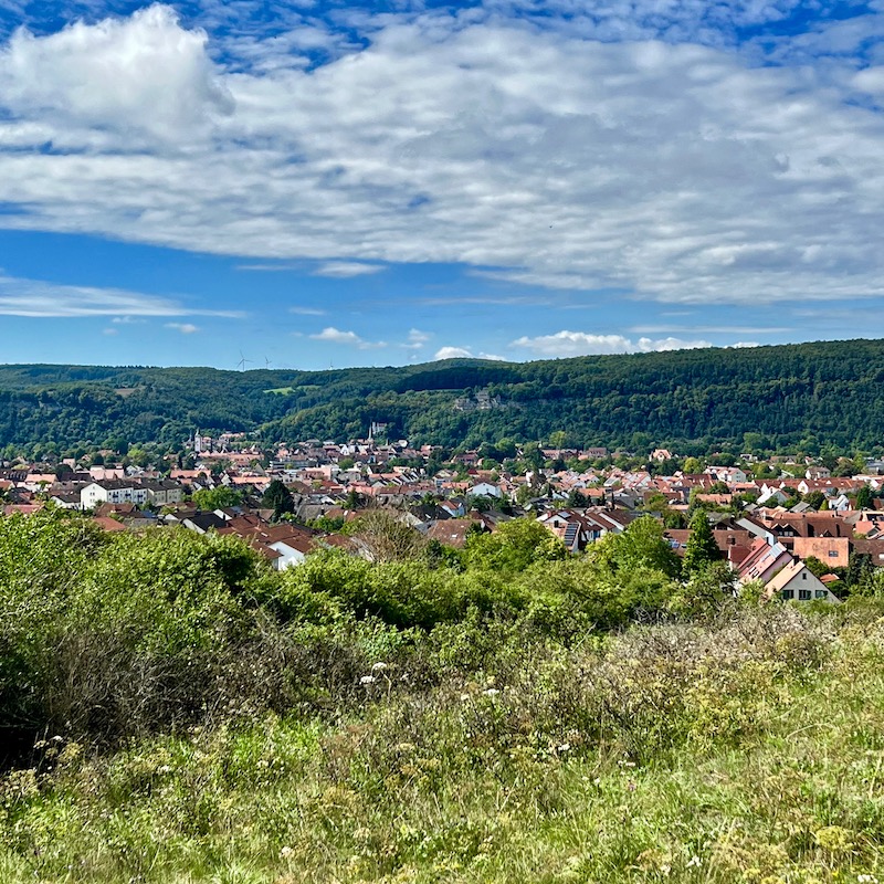 3_karlstadt_saupurzel