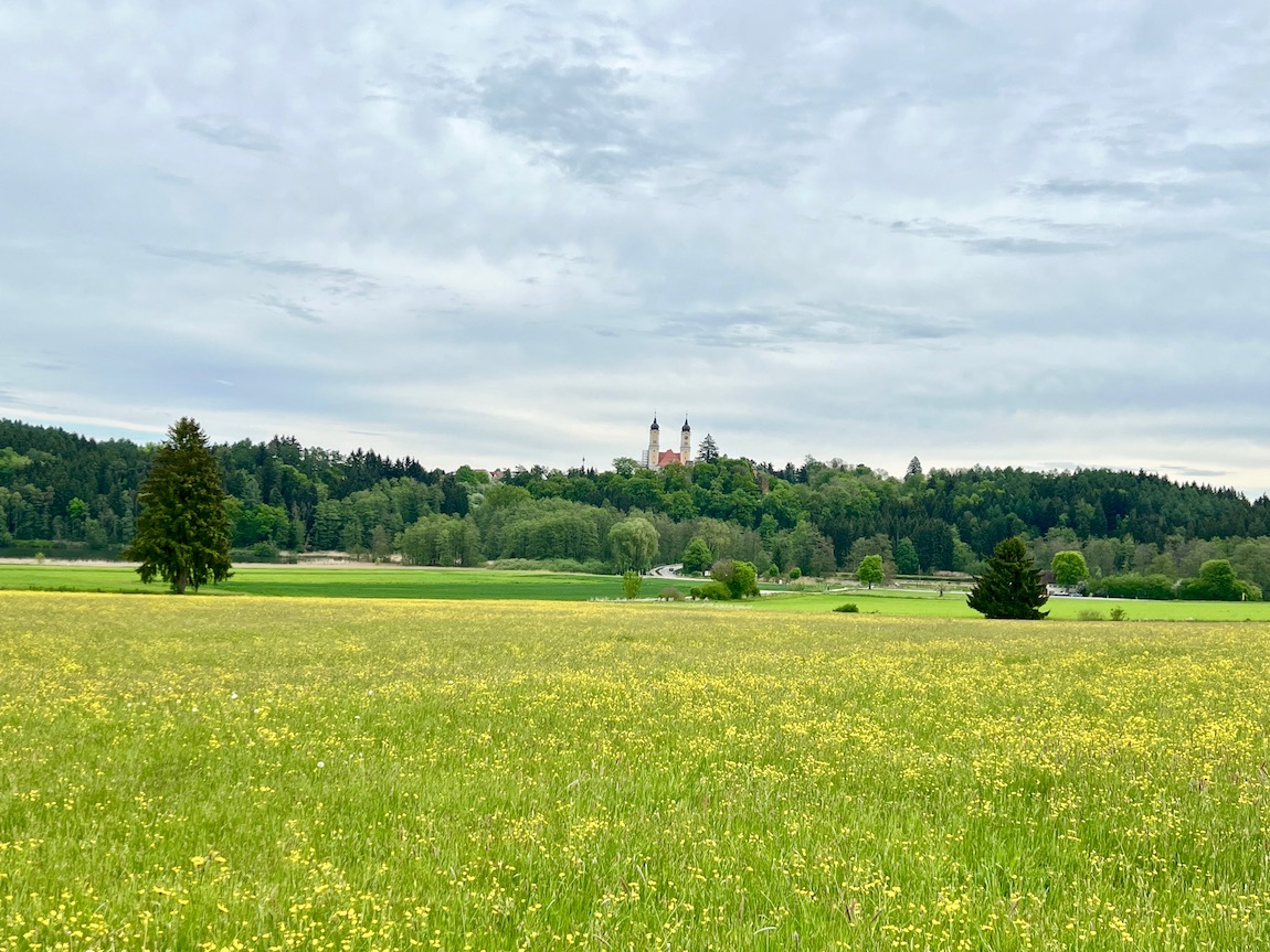 treifzüge_weiherpfade