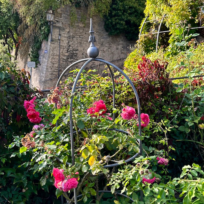 4_arnstein_rosengarten