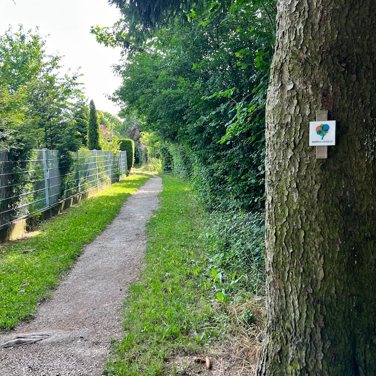 4_donauwald_faimingen