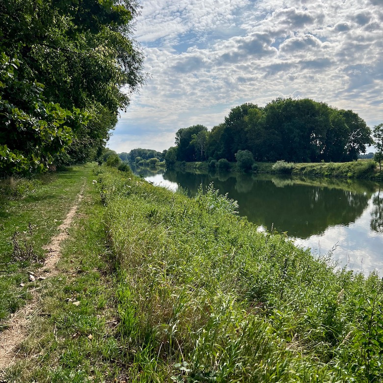 4_donauwald_wanderweg