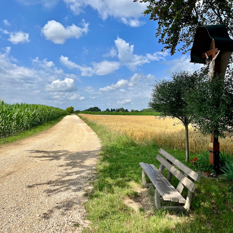 4_donauwald_wanderweg