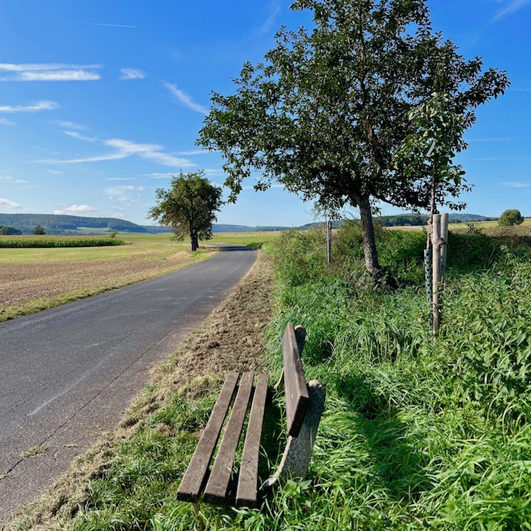 4_frankens saalestück_thulbatal