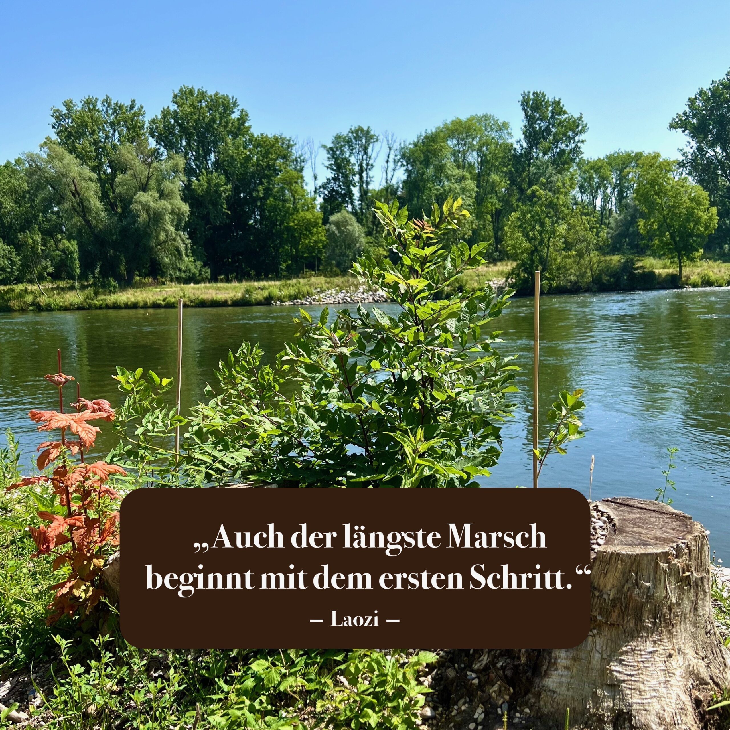 zitate und sprüche_wandern
