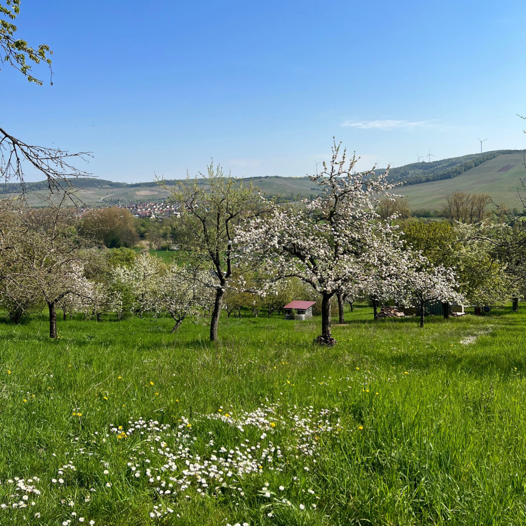 bauernregeln_april