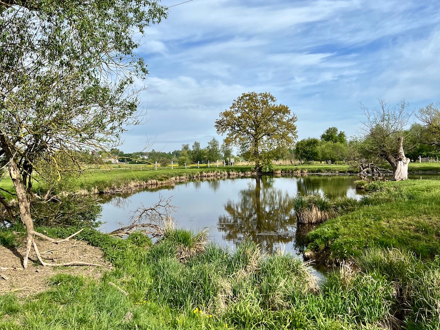 streifzüge_günzstausee