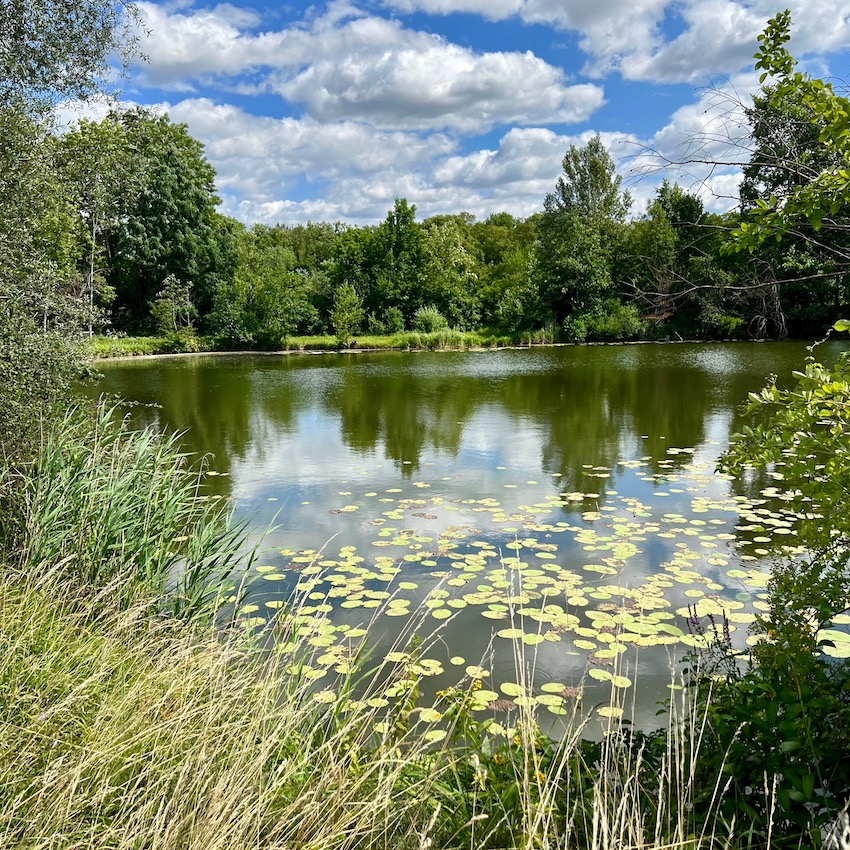 5_donauwald_wanderweg_bruehlweiher