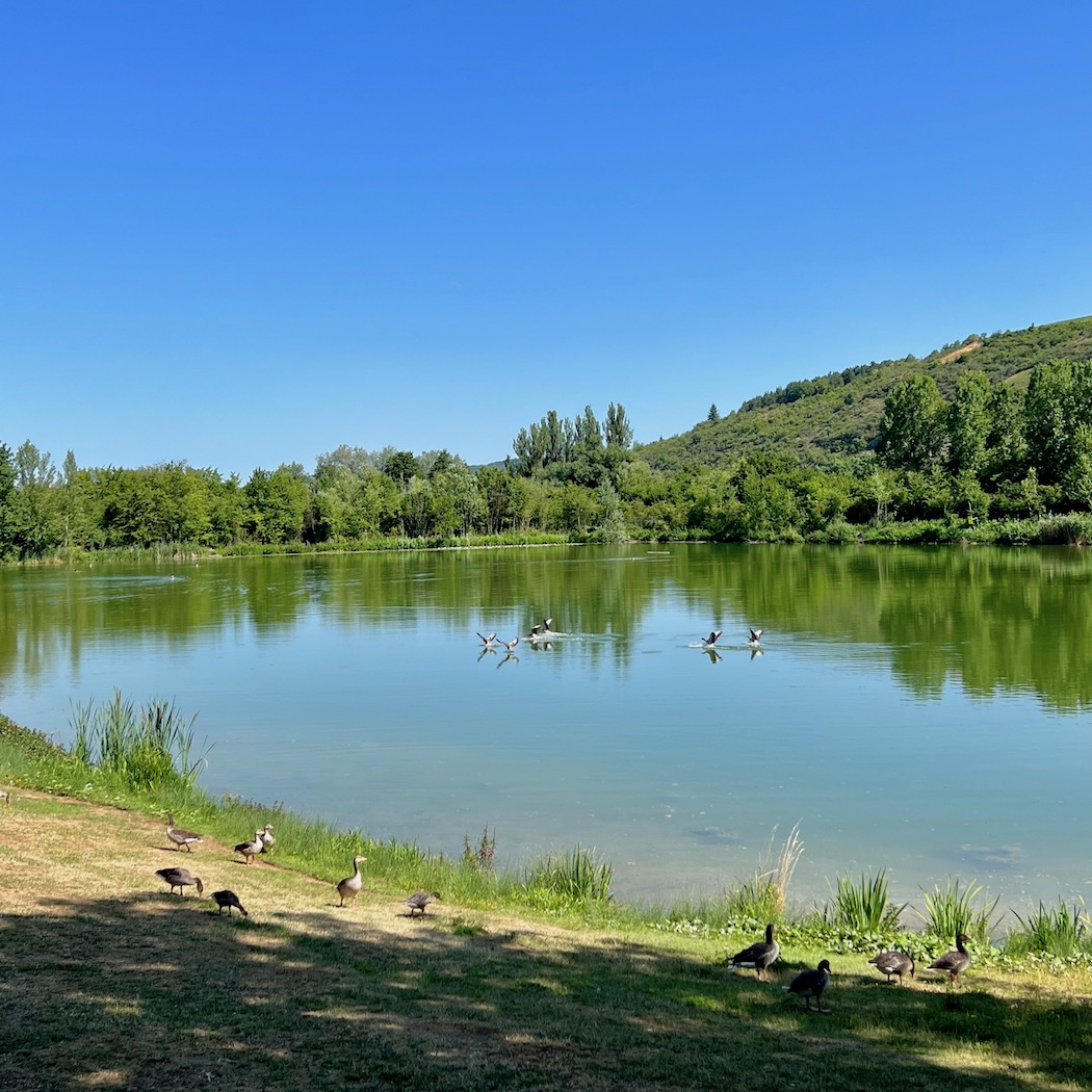 5_e_bike_tour_erlabrunner badesee