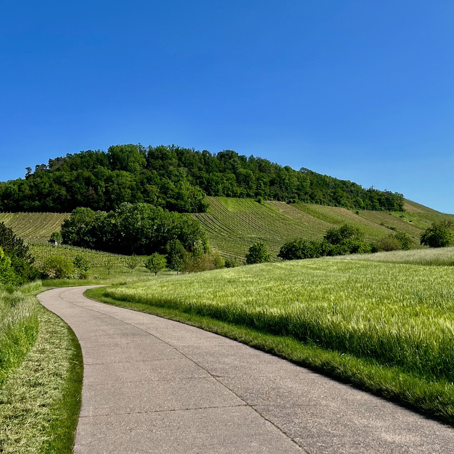 5_hüttenheim_tannenberg