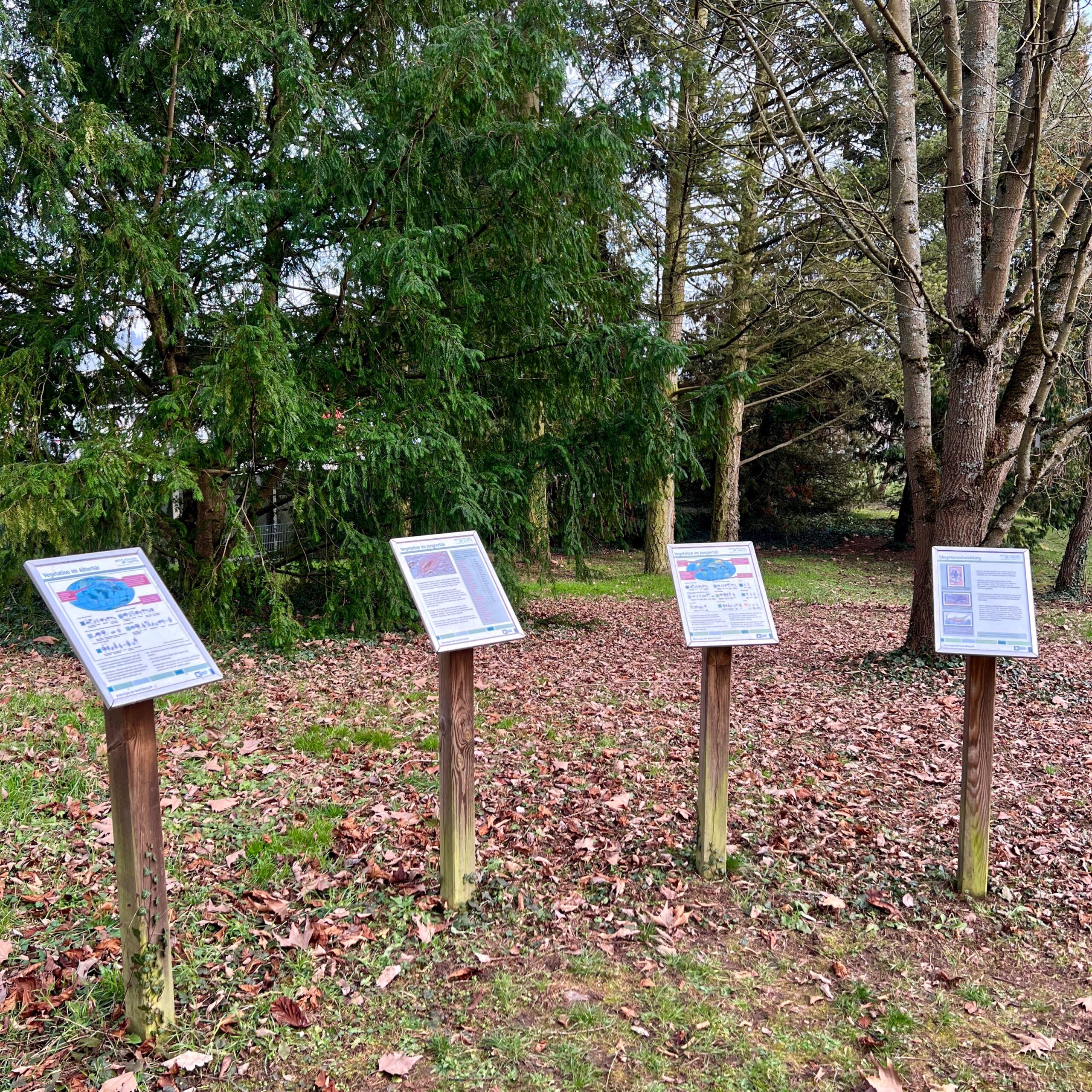 5_tertiaerwald