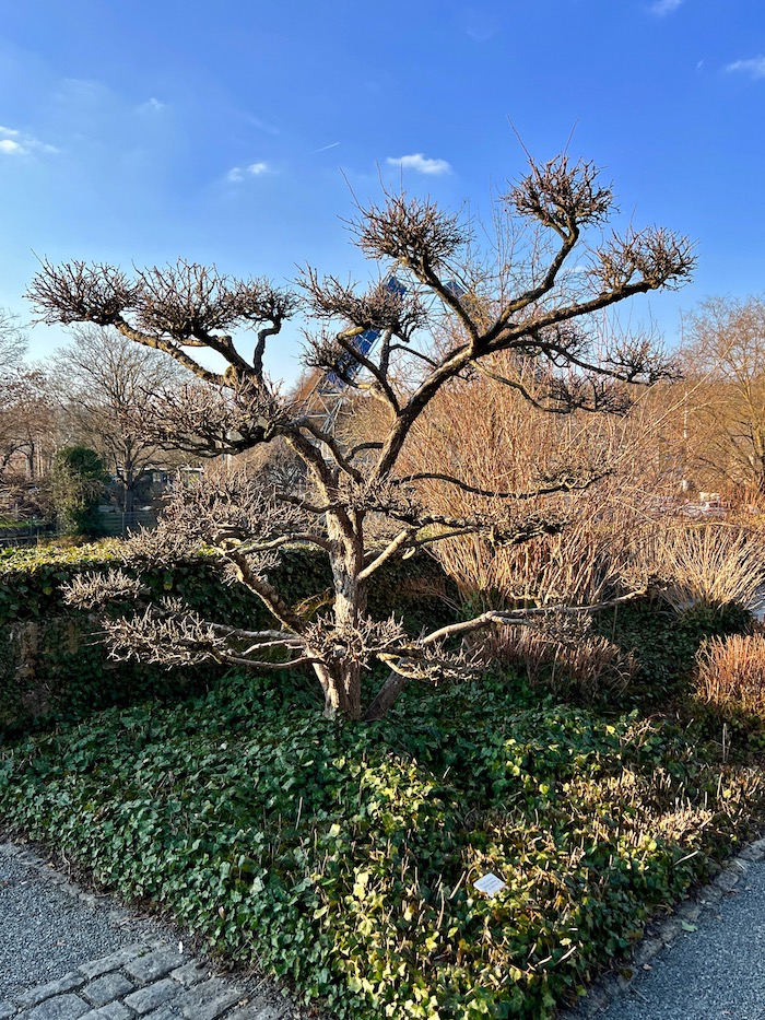wuerzburg_landesgartenschau_sieboldgarten